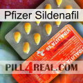 Pfizer Sildenafil new01